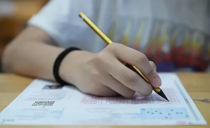 Son Dakika: 2026 LGS Yerleştirme Sonuçları Açıklandı