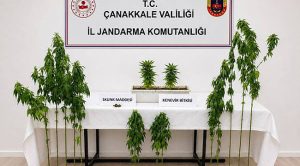 Çanakkale’de Uyuşturucu Operasyonu: 7 Şüpheliye İşlem, 5 Gözaltı