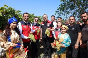 Bakan Yardımcısı Ahmet Gümen Gökçeada’da Üzüm Hasadına Katıldı