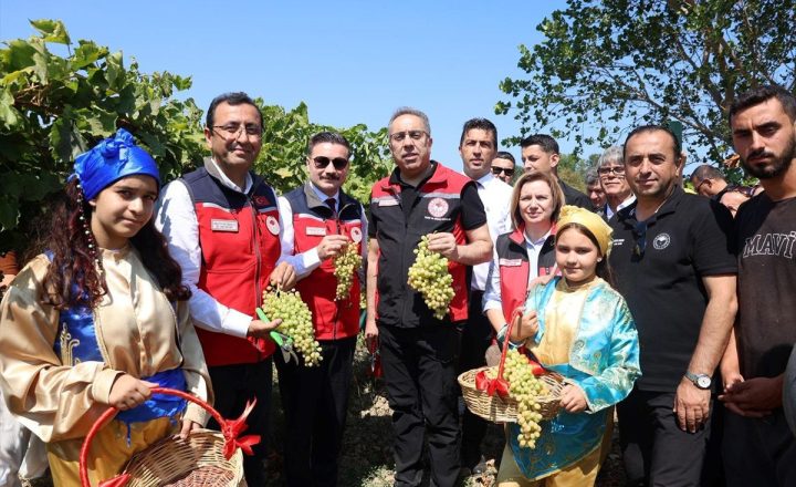 Bakan Yardımcısı Ahmet Gümen Gökçeada’da Üzüm Hasadına Katıldı