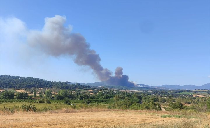 Bayramiç Yiğitler’deki Orman Yangını Kontrol Altına Alındı: 19 Hava Aracı Görev Yaptı