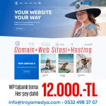 Web site tasarımı, E Ticaret Sitesi+ Hosting içerik görseli
